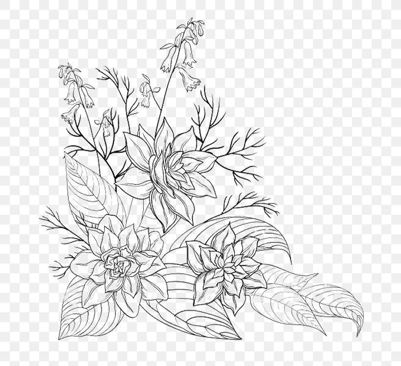 Clip Art Illustration Drawing Flower Image, PNG, 750x750px, Drawing, Blackandwhite, Botany, Coloring Book, Floral Design Download Free