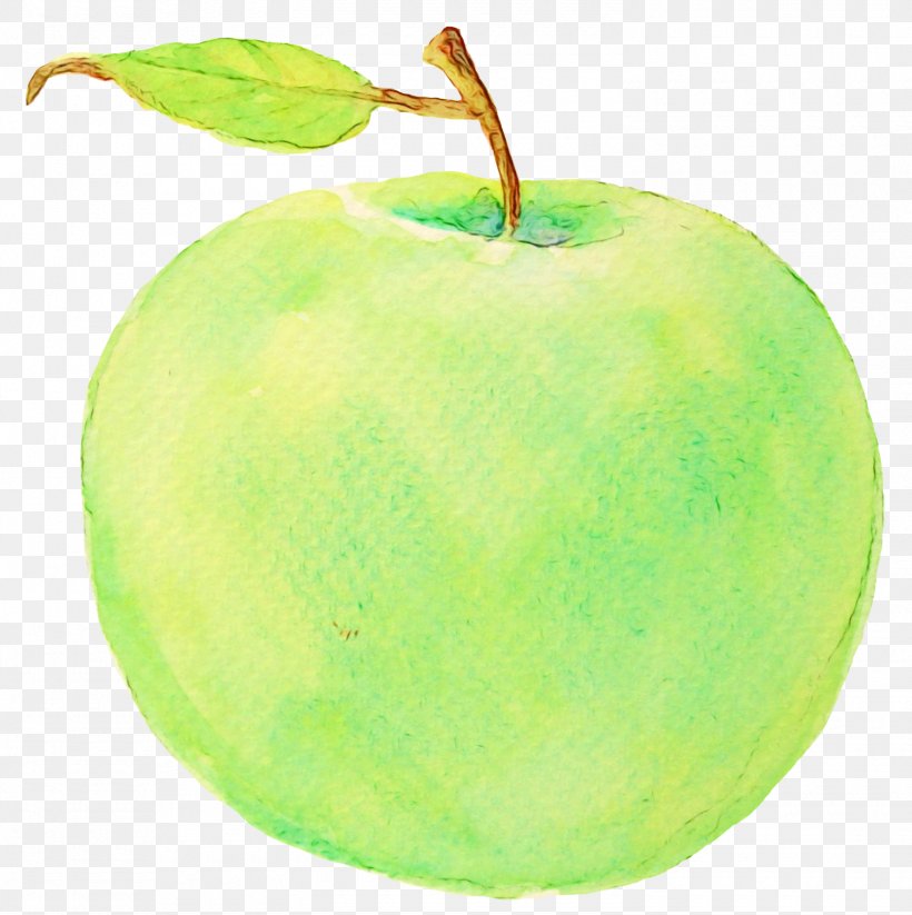 Granny Smith Green Apple Fruit Plant, PNG, 1500x1507px, Watercolor, Apple, Food, Fruit, Granny Smith Download Free