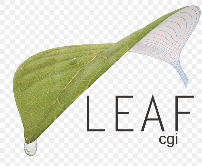 Leaf, PNG, 1020x839px, Leaf, Grass, Wing Download Free