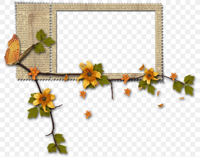 Picture Frames Molding Photography, PNG, 800x642px, Picture Frames, Autumn, Blog, Branch, Flora Download Free