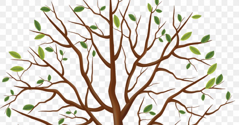 Tree Trunk Clip Art, PNG, 1200x630px, Tree, Branch, Flora, Flower, Flowering Plant Download Free