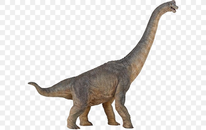 Brachiosaurus Apatosaurus Dinosaur Amargasaurus Baryonyx, PNG, 600x518px, Brachiosaurus, Amargasaurus, Animal Figure, Apatosaurus, Baryonyx Download Free
