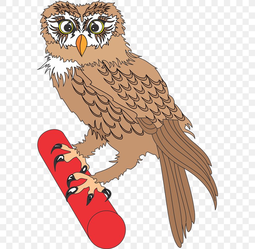 Owl Photography Animaatio Clip Art, PNG, 582x800px, Owl, Animaatio, Beak, Bird, Bird Of Prey Download Free