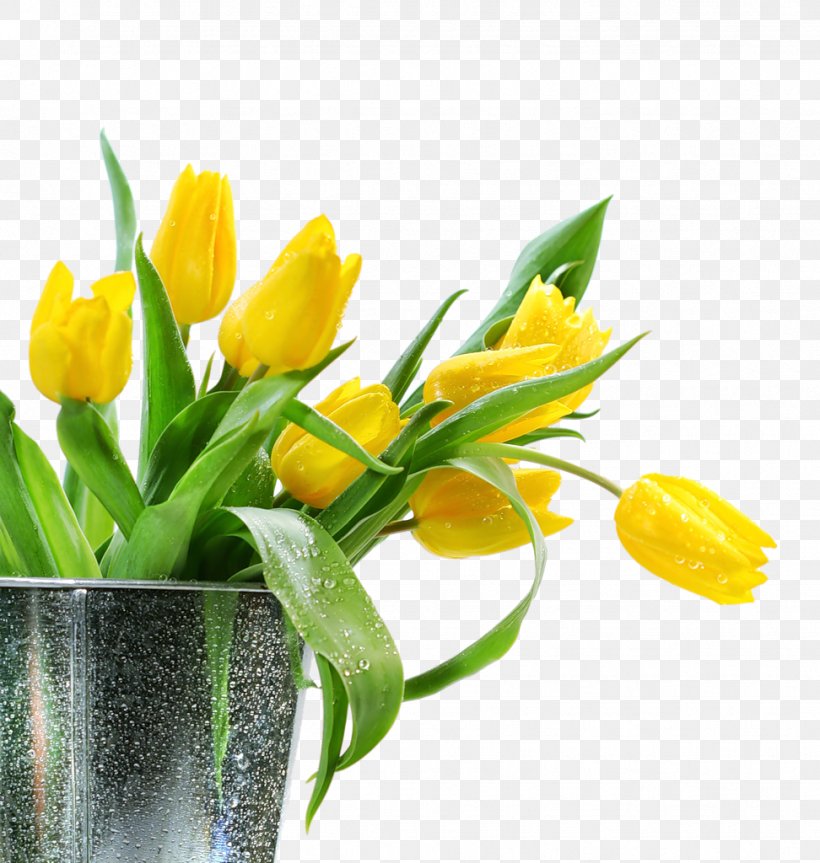 Tulip Flower Yellow Photography, PNG, 972x1024px, Tulip, Color, Cut Flowers, Floral Design, Floristry Download Free