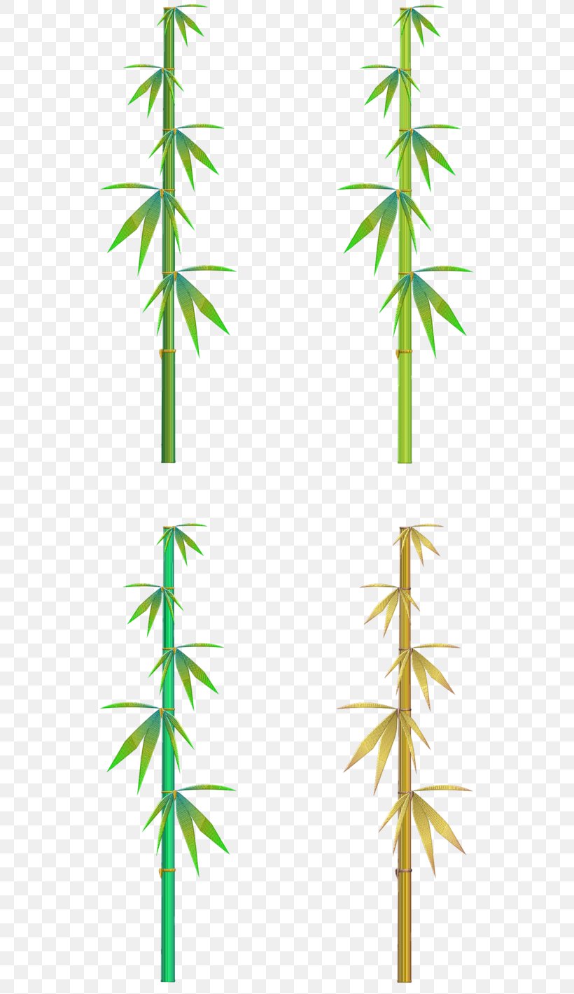Bamboo Leaf Plants Clip Art, PNG, 561x1421px, Bamboo, American Larch, Art, Branch, Drawing Download Free