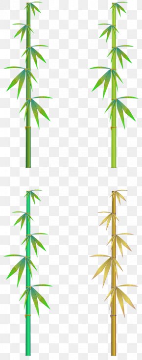 Jean Poster - Bamboo Leaf Plants Clip Art PNG