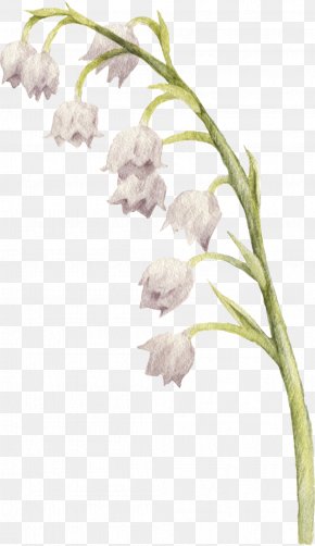 Bouquet Of Flowers Bells - Flower Euclidean Vector Bell PNG