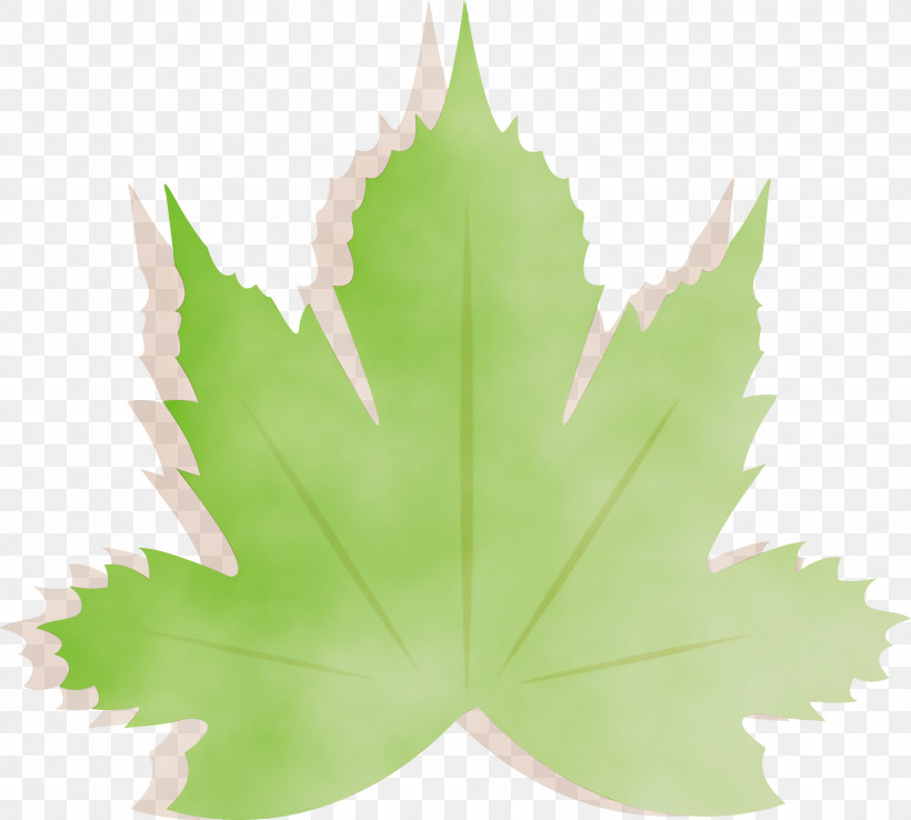 Maple Leaf, PNG, 3000x2700px, Autumn, Autumn Leaf Color, Earth, Green, Leaf Download Free