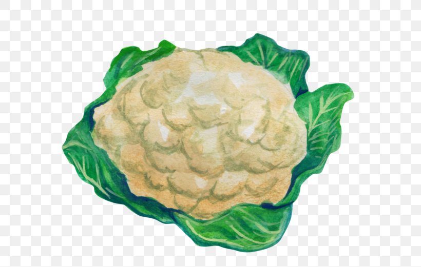 Cabbage Cauliflower Leaf Vegetable, PNG, 600x521px, Cabbage, Animaatio, Brassica Oleracea, Cartoon, Cauliflower Download Free