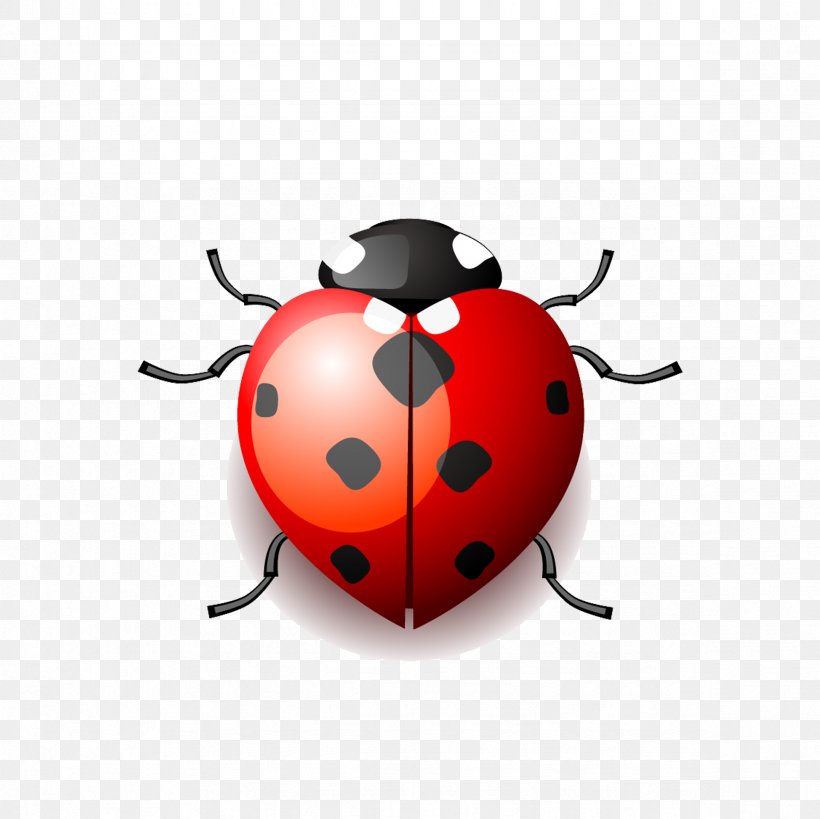 Premium Vector | Vector hand drawn ladybug outline doodle icon. ladybug  sketch illustration for print, web, mobile and infographics isolated on  white background.