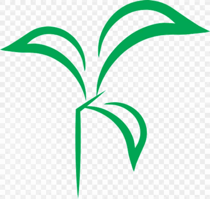 Leaf Line Angle Plant Stem Clip Art, PNG, 1920x1817px, Leaf, Area, Grass, Green, Plant Download Free