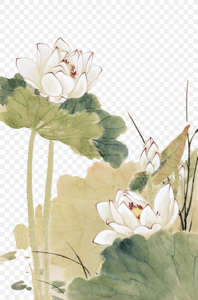 Nelumbo Nucifera Chinese Painting Gongbi, PNG, 1000x1515px, Nelumbo Nucifera, Birdandflower Painting, Chinese Painting, Cut Flowers, Designer Download Free