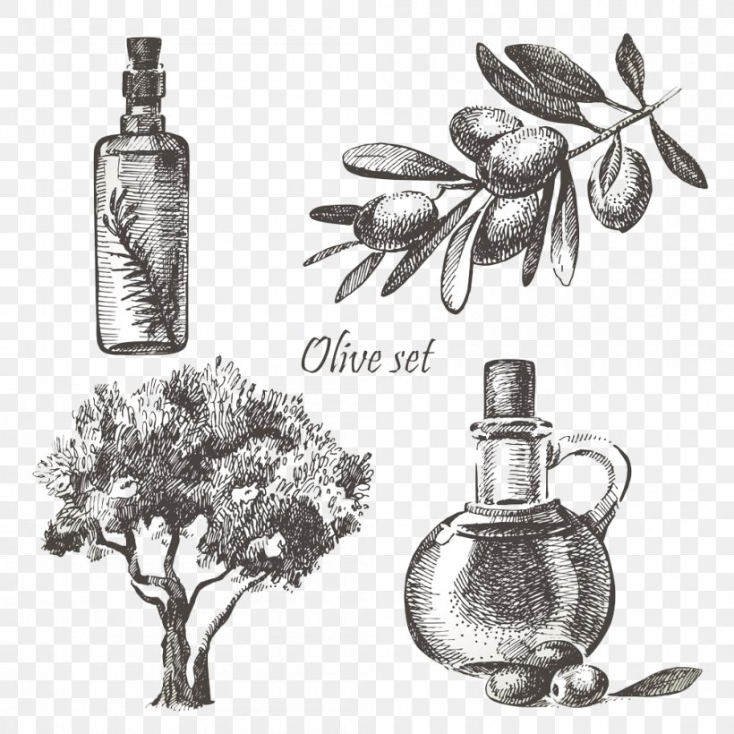 Olive Oil Stock Photography Illustration, PNG, 1000x1000px, Olive, Black And White, Bottle, Drawing, Flora Download Free