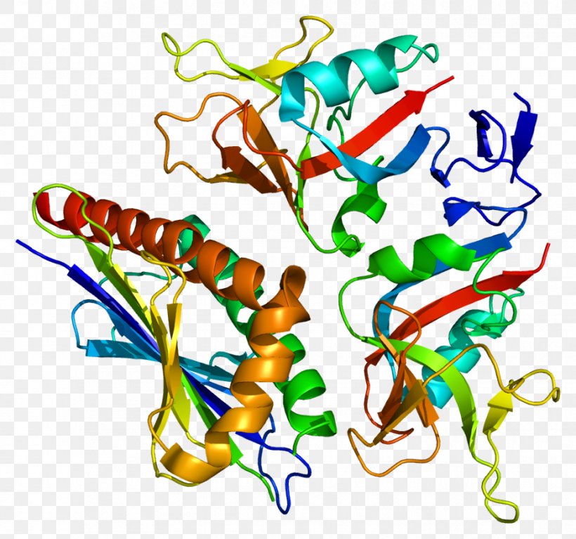 ULBP3 UL16 Binding Protein 3 MHC Class I Gene, PNG, 930x870px, Watercolor, Cartoon, Flower, Frame, Heart Download Free