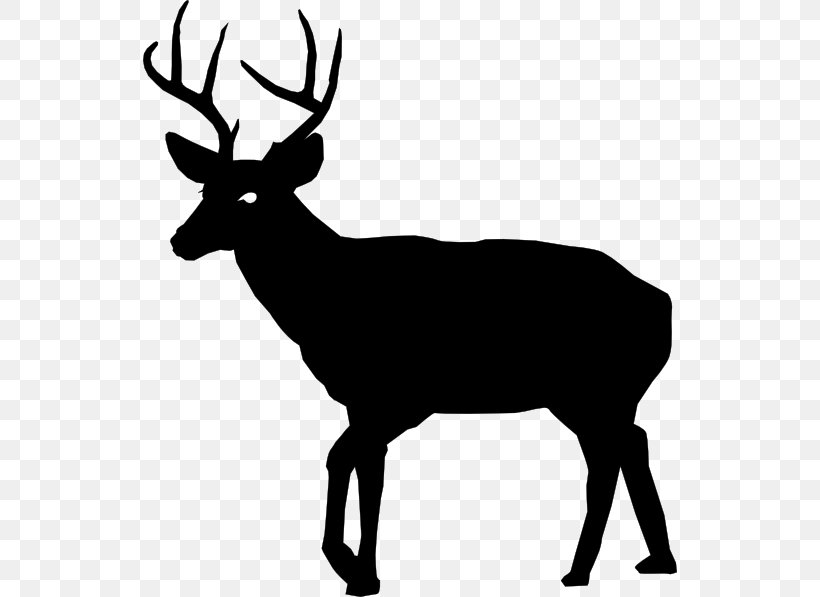 White-tailed Deer Deer Hunting Clip Art, PNG, 534x597px, Deer, Antler, Black And White, Deer Hunting, Drawing Download Free