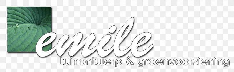 Brand Logo Emile Tuinontwerp & Groenvoorziening, PNG, 2020x621px, Brand, Content, Content Management System, Emile Tuinontwerp Groenvoorziening, Engine Download Free