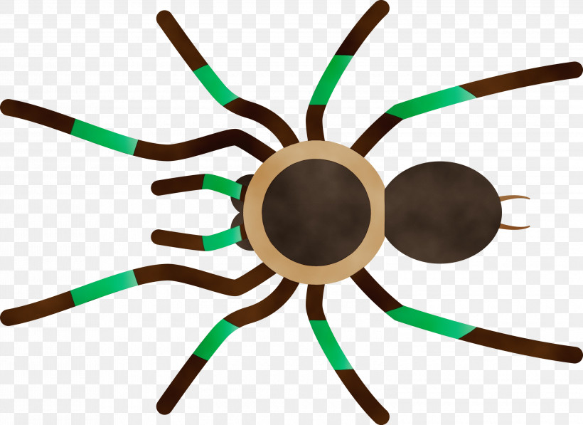 Insect Line, PNG, 3000x2186px, Cartoon Spider, Insect, Line, Paint, Watercolor Download Free