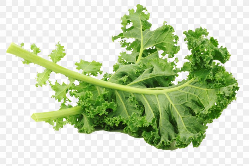 Lacinato Kale Leaf Vegetable Salad Brussels Sprout, PNG, 4896x3264px, Lacinato Kale, Broccoli, Brussels Sprout, Cabbage, Cauliflower Download Free