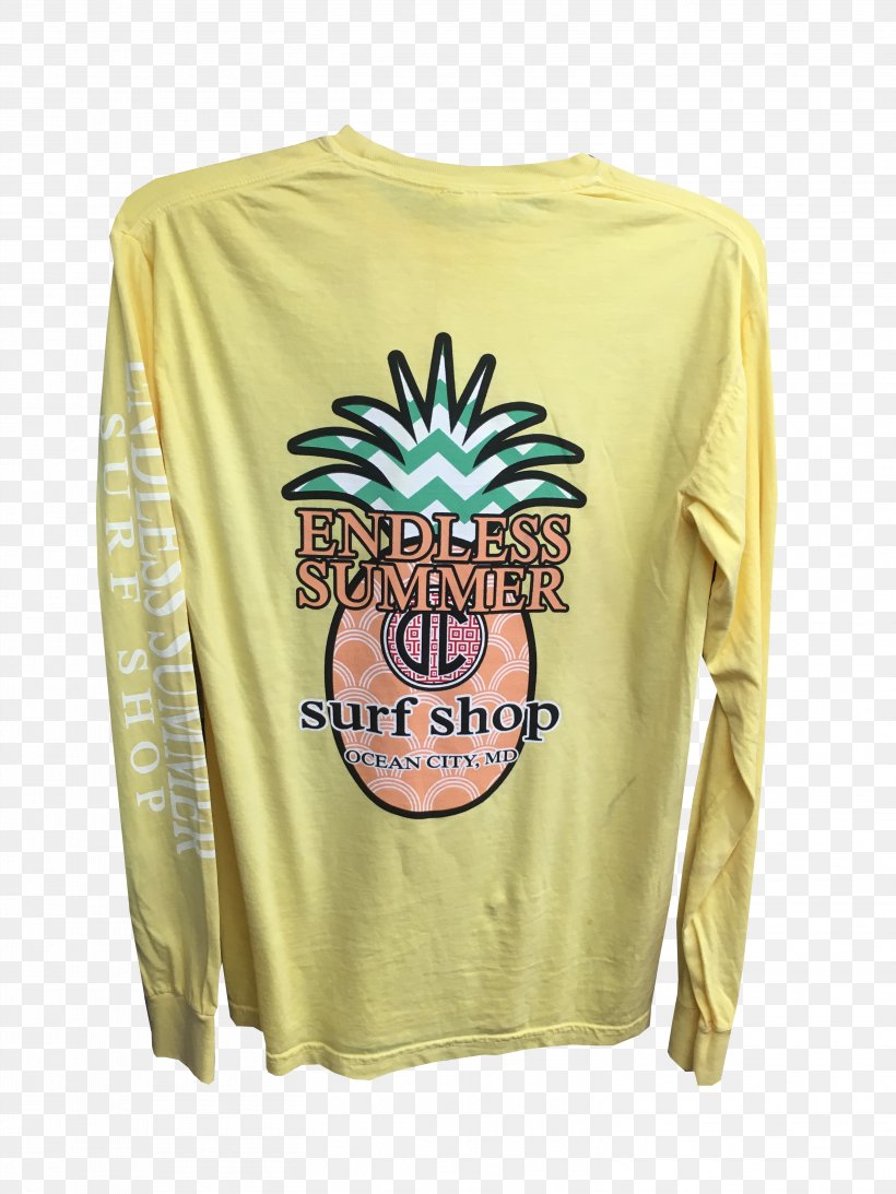 Long-sleeved T-shirt Hoodie, PNG, 3024x4032px, Tshirt, Bluza, Clothing, Endless Summer, Endless Summer Surf Shop Download Free
