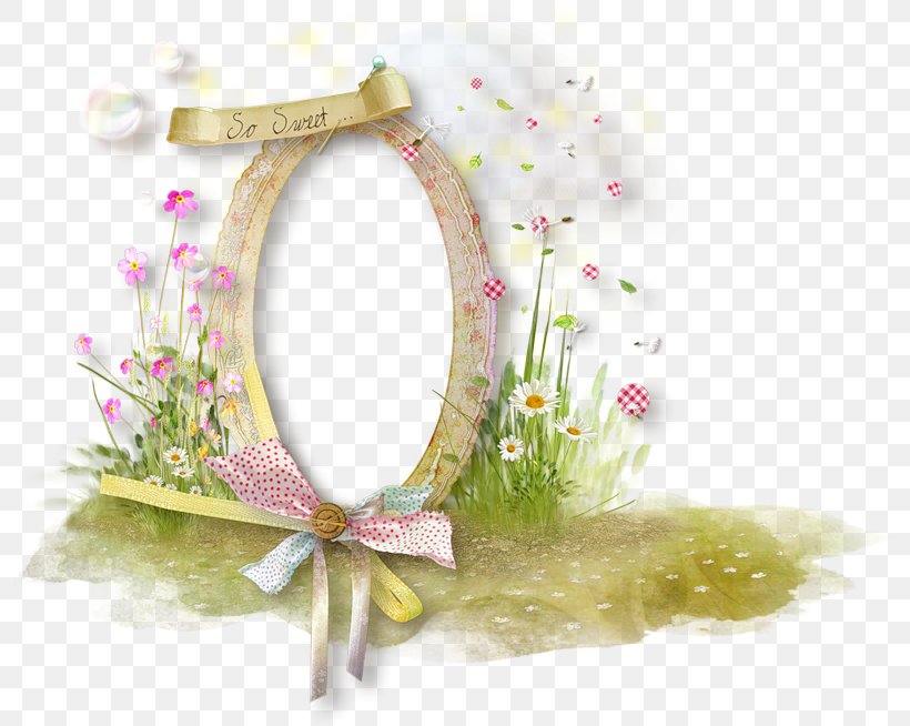 Picture Frames Photography Clip Art, PNG, 800x654px, Picture Frames, Film Frame, Flower, Petal, Photography Download Free