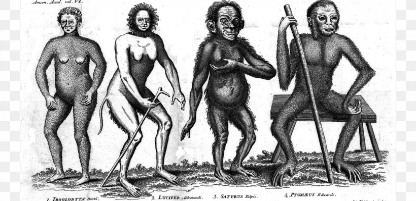 Amoenitates Academicae Cultural Anthropology Homo Sapiens History, PNG, 1610x783px, Anthropology, Arm, Art, Biological Anthropology, Black And White Download Free