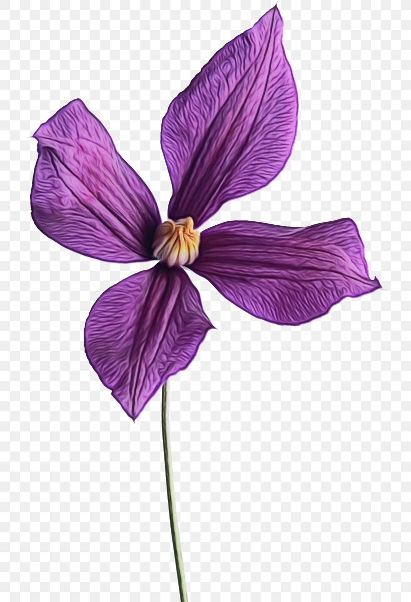 Flower Petal Violet Purple Plant, PNG, 727x1200px, Watercolor, Flower, Flowering Plant, Iris, Paint Download Free