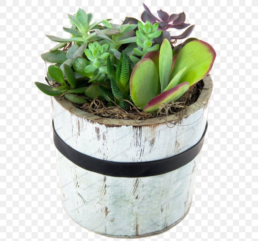 Flowerpot Houseplant Garden Succulent Plant Zen Cart, PNG, 768x768px, Flowerpot, Art, Bandung, Ecommerce, Flower Download Free