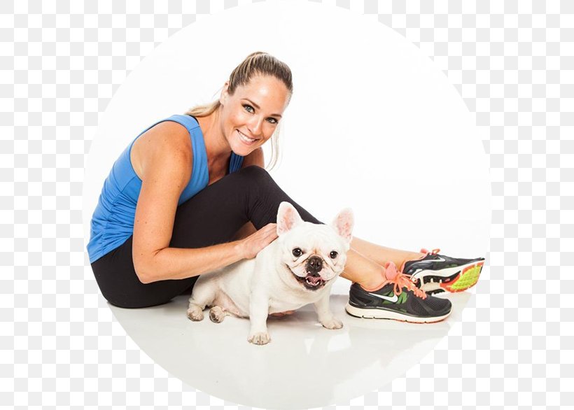 French Bulldog Puppy Exercise Physical Fitness Personal Trainer, PNG, 586x586px, French Bulldog, Barre Workout, Bulldog, Carnivoran, Companion Dog Download Free