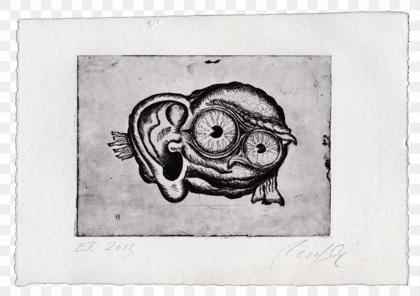 Mouth Cartoon, PNG, 1923x1359px, Owl, Drawing, Etching, Evolution, Eye Download Free