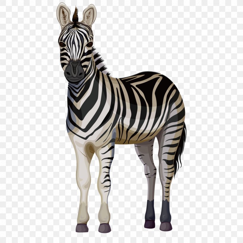 Quagga Horse Zorse Zebra, PNG, 1276x1276px, Quagga, Black And White, Cartoon, Drawing, Horse Download Free
