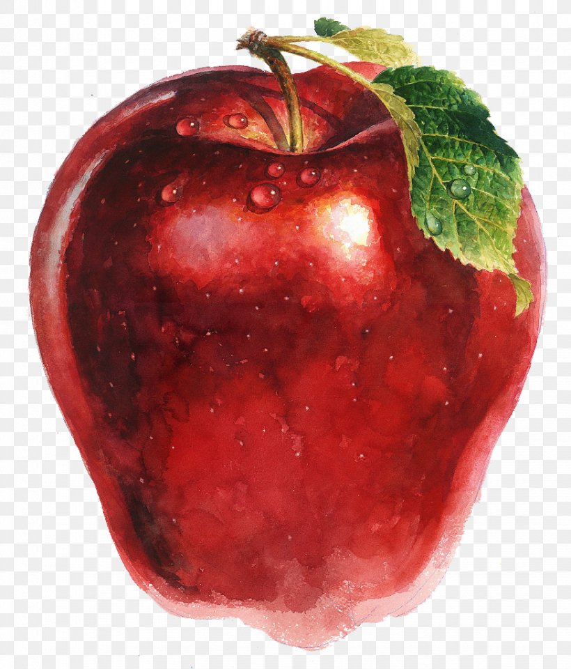 Apple Drawing Strawberry Illustration, PNG, 874x1024px, Apple, Accessory Fruit, Diet Food, Drawing, Food Download Free