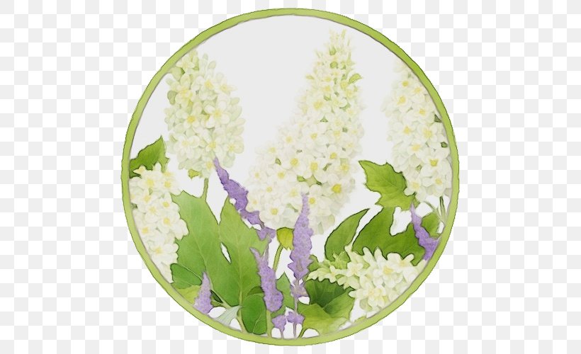 Lily Of The Valley Flower Lilac Plate Plant, PNG, 500x500px, Watercolor, Delphinium, Dishware, Flower, Hydrangea Download Free