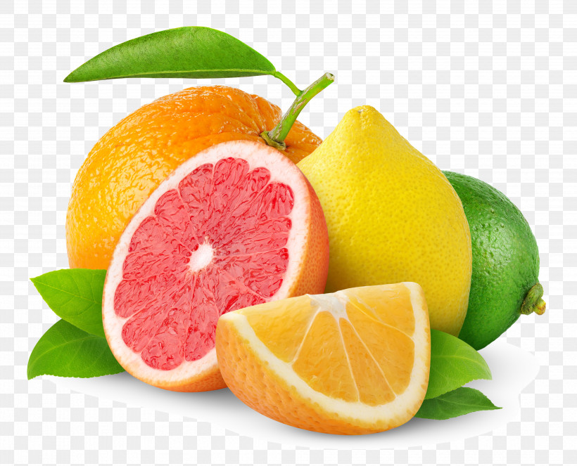 Orange, PNG, 3929x3179px, Citrus, Accessory Fruit, Bitter Orange, Citric Acid, Citron Download Free