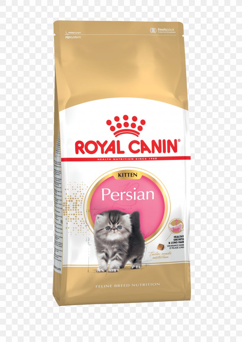 Persian Cat Cat Food Kitten British Shorthair Ragdoll, PNG, 2480x3508px, Persian Cat, Breed, British Shorthair, Cat, Cat Food Download Free