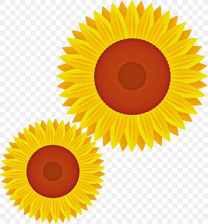 Sunflower, PNG, 2792x3000px, Sunflower, Cartoon, Circle, Flower, Plant Download Free