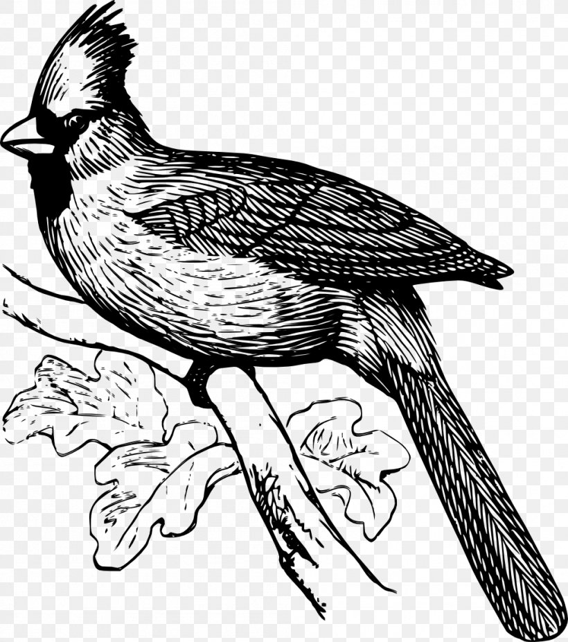 Bird Line Art Drawing Clip Art, PNG, 999x1129px, Bird, Art, Beak, Bird Flight, Bird Of Prey Download Free
