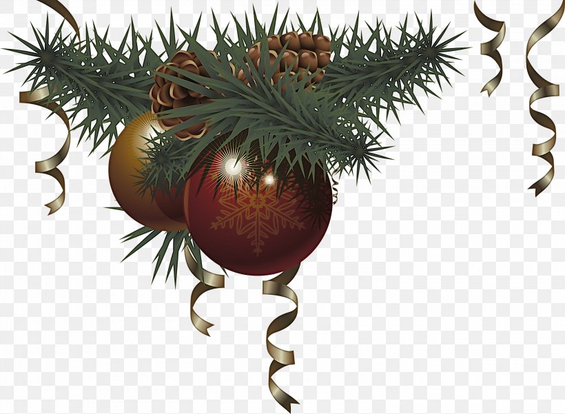 Christmas Ornament, PNG, 3000x2202px, Oregon Pine, Christmas Ornament, Christmas Tree, Colorado Spruce, Fir Download Free