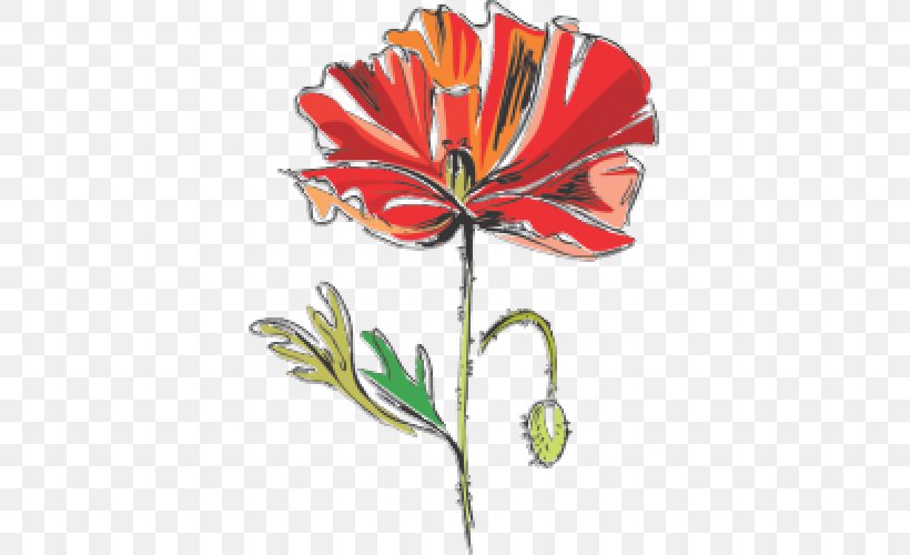 Cut Flowers Poppy Petal Clip Art, PNG, 500x500px, Flower, Cut Flowers, Flora, Floral Design, Flowering Plant Download Free