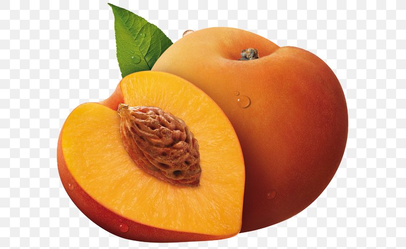 Juice Fruit Apricot Food, PNG, 600x504px, Juice, Apricot, Dessert, Dried Apricot, Food Download Free