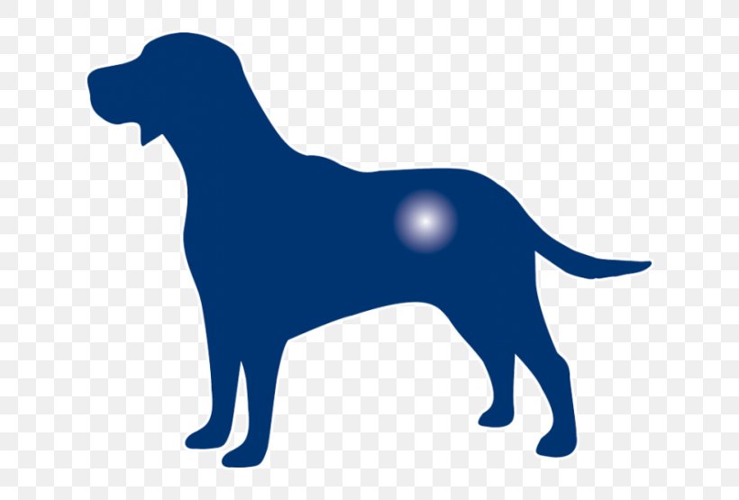 Labrador Retriever Puppy Dog Breed Jack Russell Terrier, PNG, 720x555px, Labrador Retriever, Breed, Bulldog, Carnivoran, Chihuahua Download Free