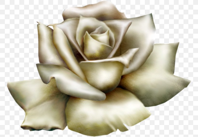 Rose Clip Art, PNG, 768x570px, Rose, Art, Art Museum, Cushion, Flower Download Free