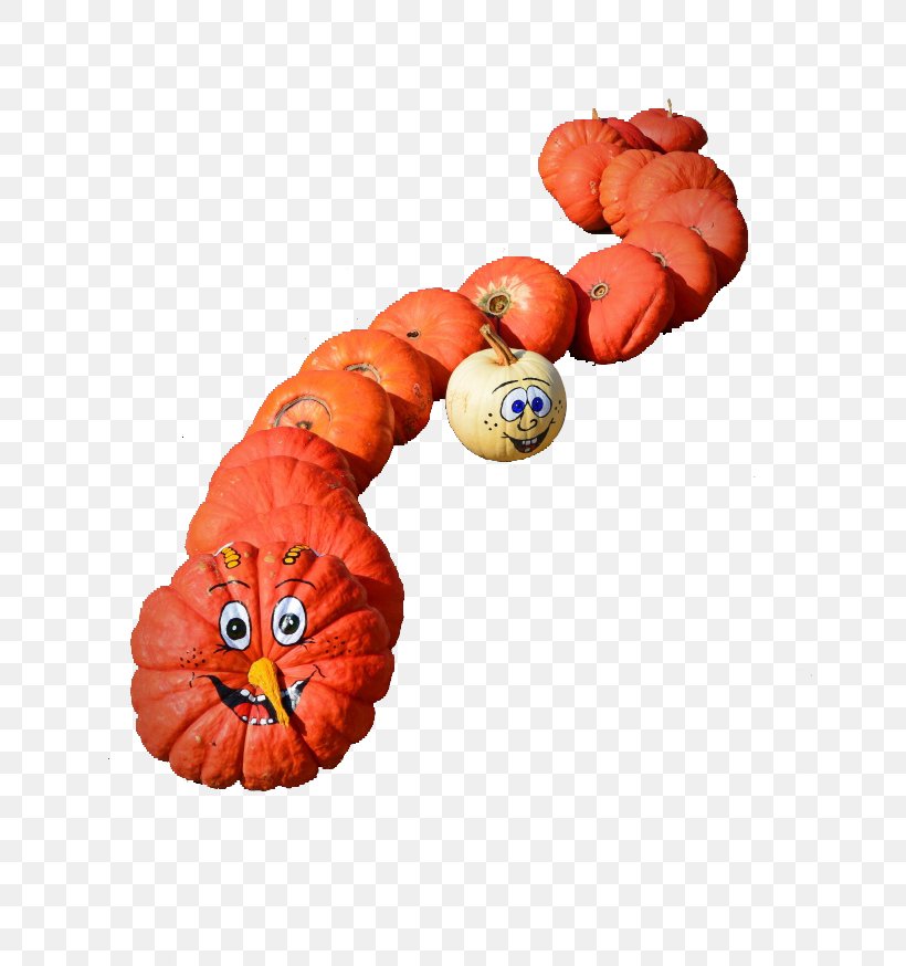 Snake Calabaza Winter Squash, PNG, 650x874px, Snake, Autumn, Calabaza, Cuteness, Food Download Free