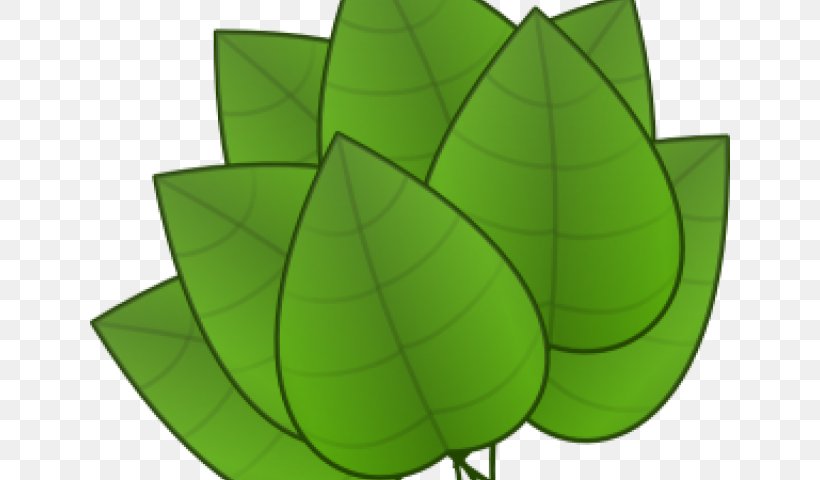 Clip Art Leaf Vector Graphics Free Content, PNG, 640x480px, Leaf, Autumn, Autumn Leaf Color, Fall Leaves Black, Flower Download Free