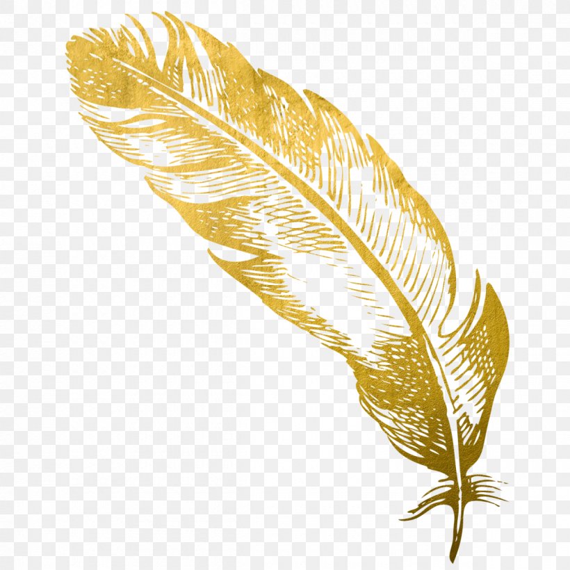 Feather Gold Quill Card Snobs, PNG, 1200x1200px, Feather, Card Snobs, Child, Drawing, Editing Download Free