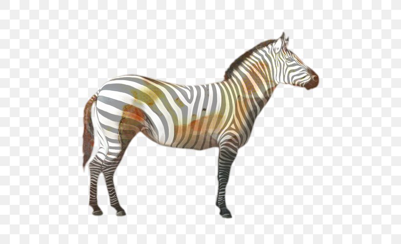 Zebra Cartoon, PNG, 500x500px, Quagga, Animal, Animal Figure, Burchells Zebra, Equus Download Free