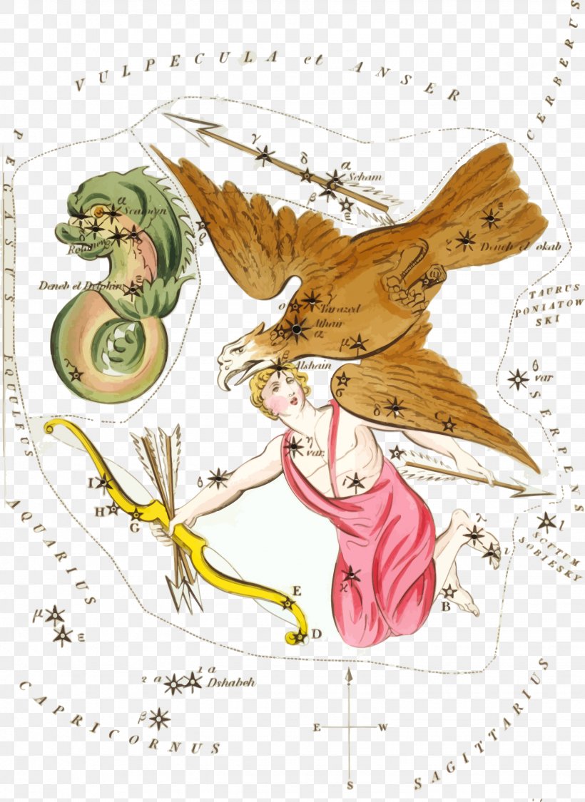 Zeus Aquila Greek Mythology Constellation Altair, PNG, 1535x2106px, Watercolor, Cartoon, Flower, Frame, Heart Download Free