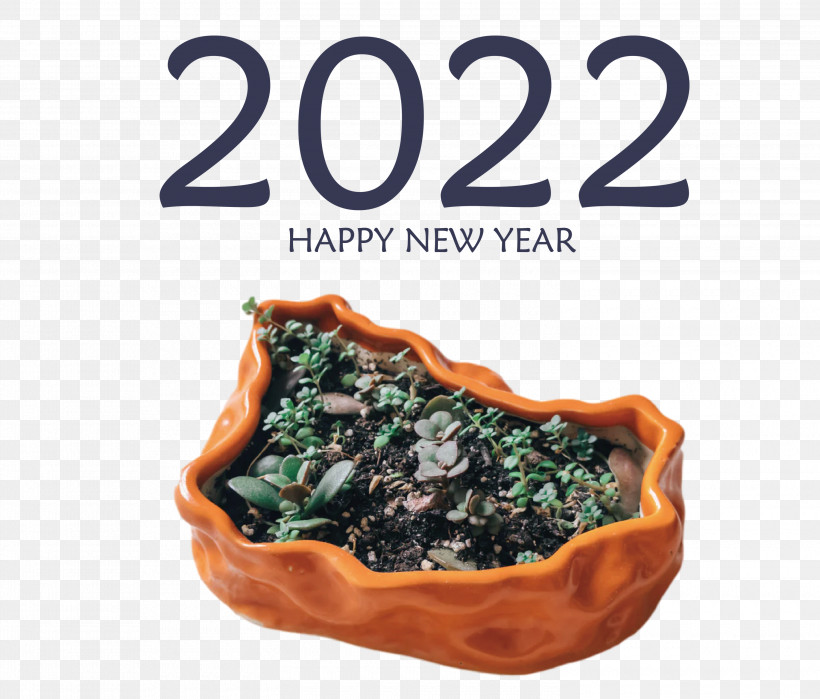 2022 Happy New Year 2022 New Year 2022, PNG, 3000x2560px, Lobster, Bowl, Green, Plate, Seafood Download Free