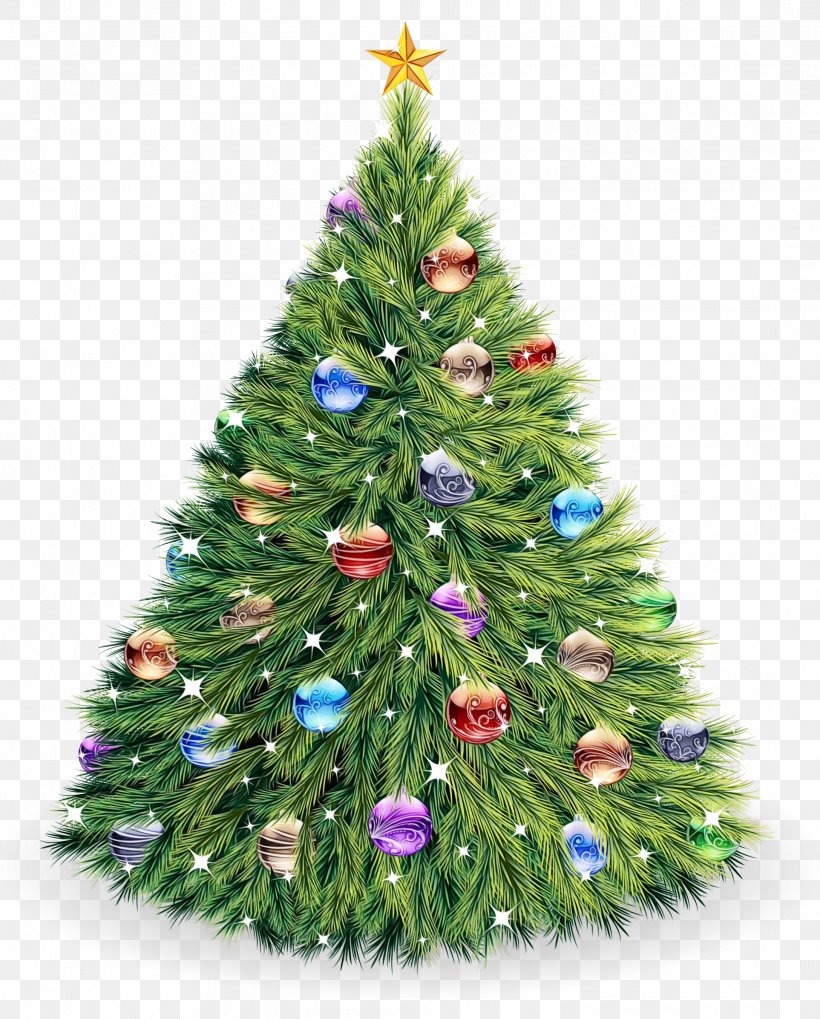 Christmas Tree, PNG, 2175x2703px, Watercolor, Balsam Fir, Christmas, Christmas Decoration, Christmas Ornament Download Free