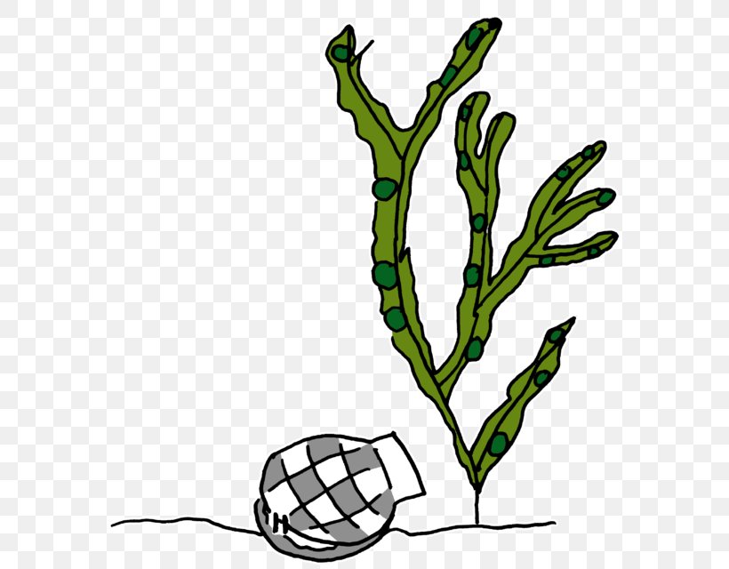 Drawing Line Art Painting Clip Art, PNG, 584x640px, Drawing, Algae, Artwork, Branch, Chess Download Free