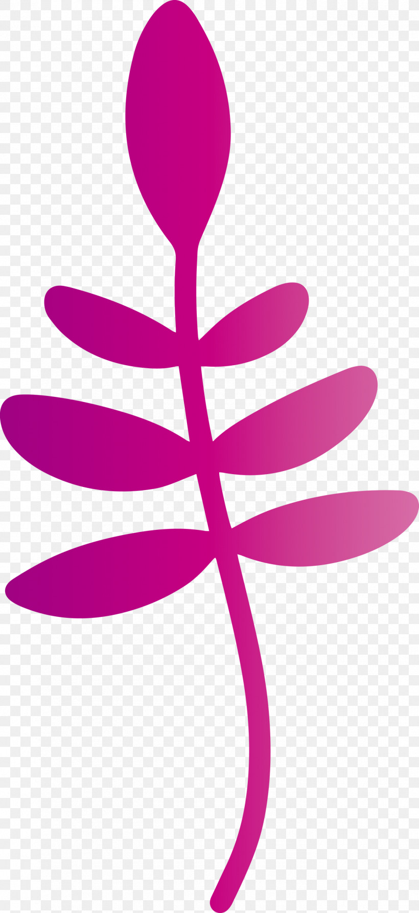 Flower Petal Line Meter Symbol, PNG, 1378x3000px, Flower, Biology, Geometry, Line, M Download Free